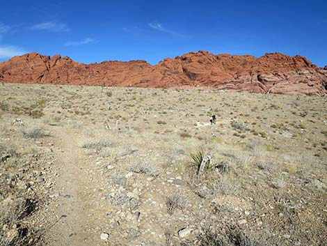 Ride Share Deluxe Loop Trail