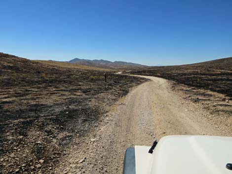 Cottonwood Valley Road