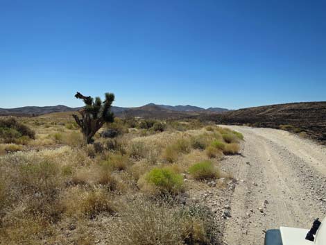 Cottonwood Valley Road