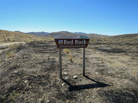 Cottonwood Valley Road