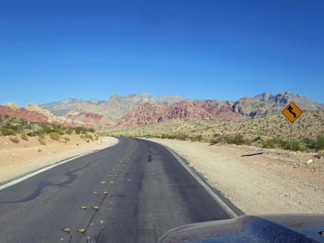 Calico Basin Road