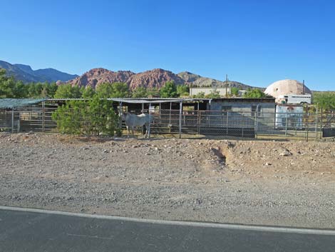 Calico Basin Road