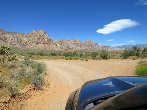 Lone Grapevine Road