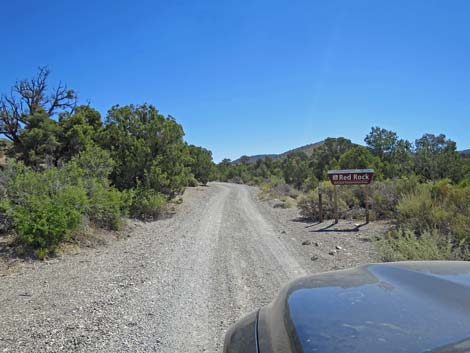 Rainbow Spring Road