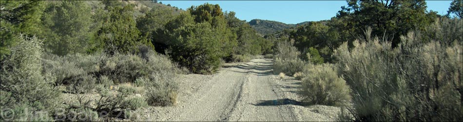 Rainbow Spring Road