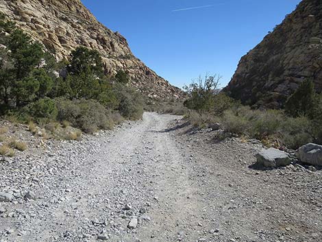 White Rock Loop Trail