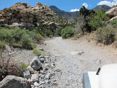 Rocky Gap Road