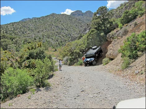 Rocky Gap Road