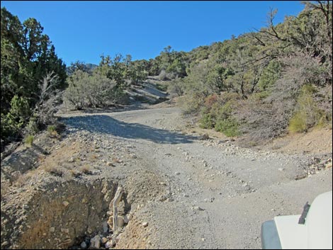 Rocky Gap Road