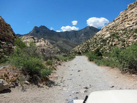 Rocky Gap Road