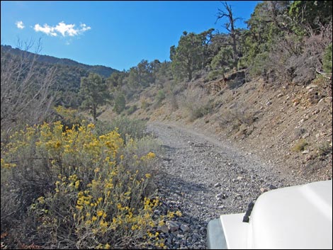 Rocky Gap Road