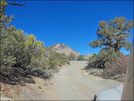 Rocky Gap Road