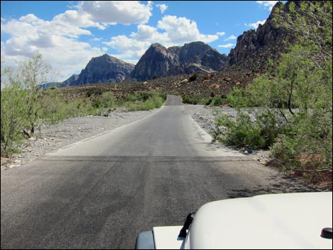 Scenic Loop Road