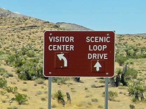 Scenic Loop Road