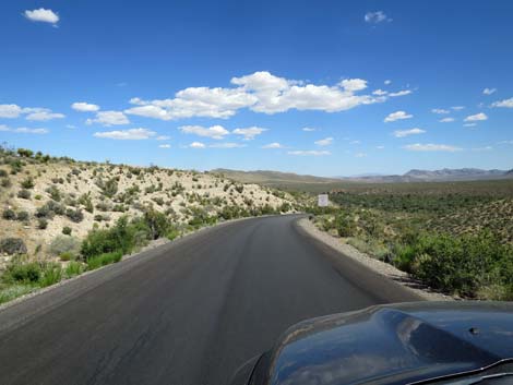 Scenic Loop Road