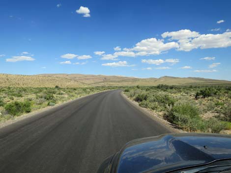 Scenic Loop Road