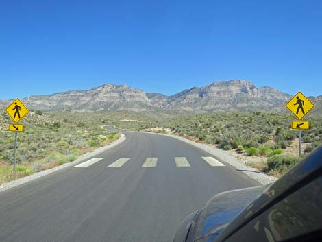 Scenic Loop Road