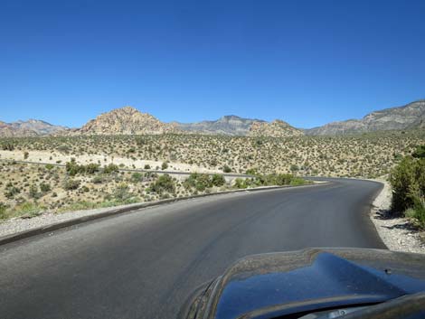 Scenic Loop Road