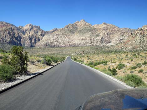 Scenic Loop Road