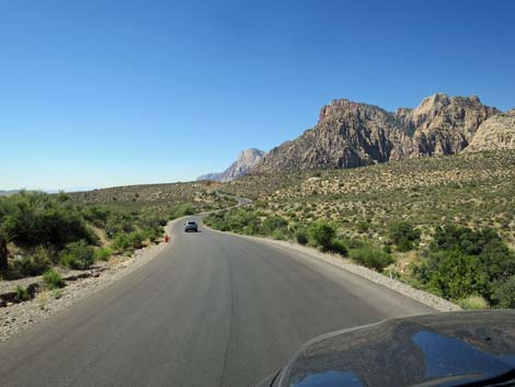 Scenic Loop Road