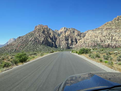 Scenic Loop Road