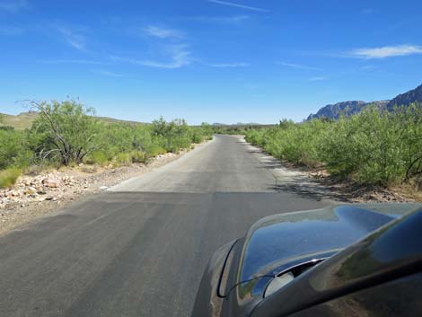 Scenic Loop Road