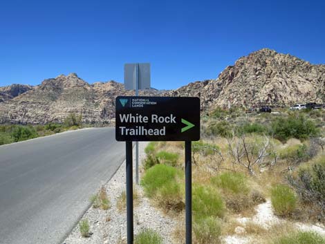 Scenic Loop Road