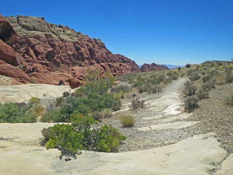 Calico Hills Trail - Sandstone Quarry to Calico 1