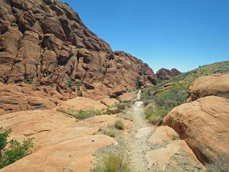 Calico Hills Trail - Sandstone Quarry to Calico 1