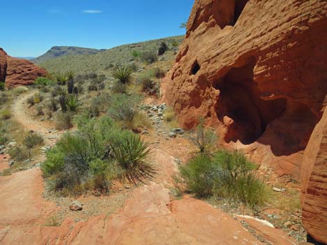 Calico Hills Trail - Sandstone Quarry to Calico 1