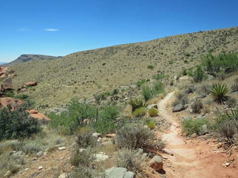 Calico Hills Trail - Sandstone Quarry to Calico 1