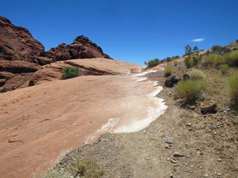 Calico Hills Trail - Sandstone Quarry to Calico 1