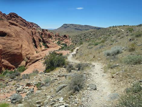 Calico Hills Trail - Sandstone Quarry to Calico 1