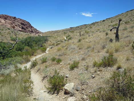 Calico Hills Trail - Sandstone Quarry to Calico 1