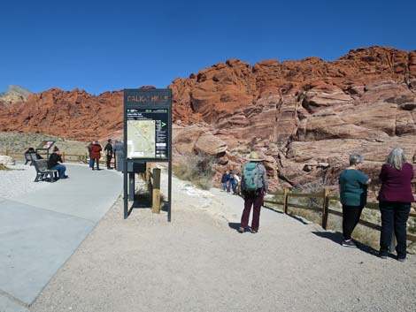 Calico Hills 1 Trailhead