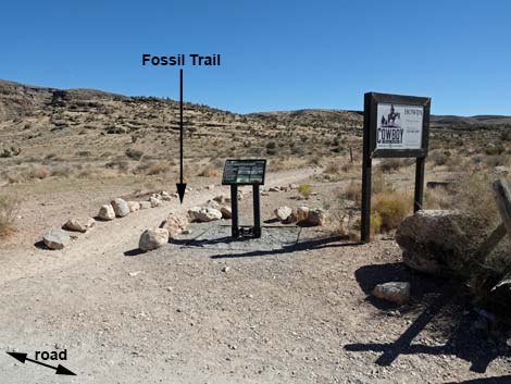 Cowboy Trail Rides Trailhead