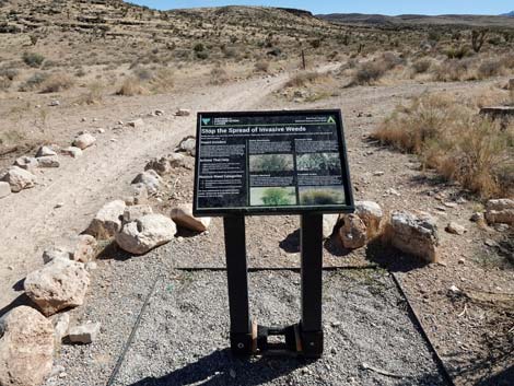 Cowboy Trail Rides Trailhead