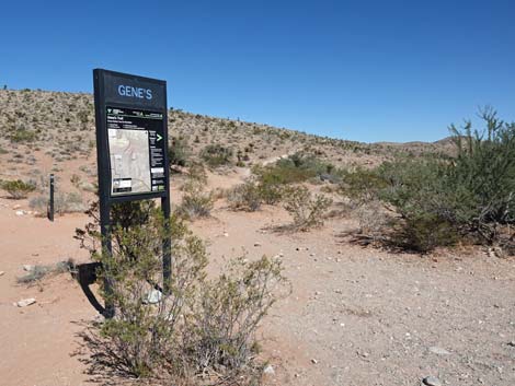 Genes Trailhead