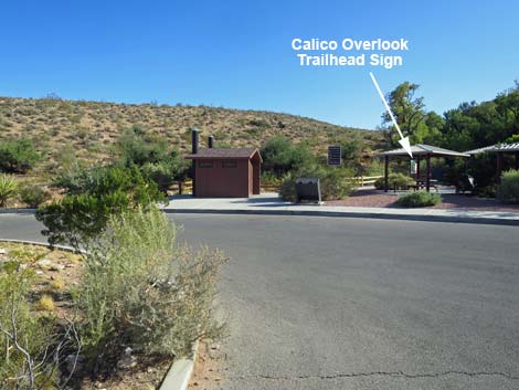 Calico Hills Loop