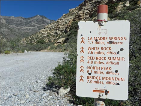 Willow Springs Trailhead