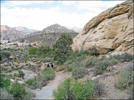 Turtlehead Peak