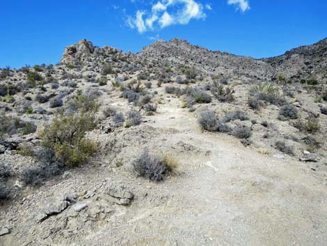 Turtlehead Mountain