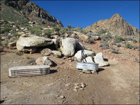 Cottonwood Valley Springs Loop Trail