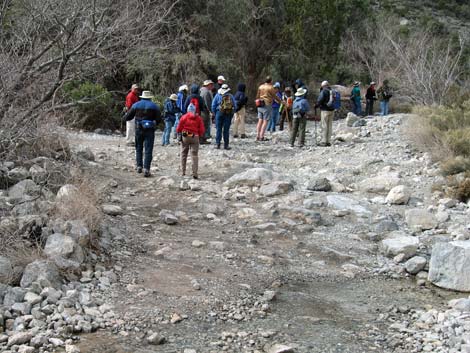 Waterfall Canyon Route