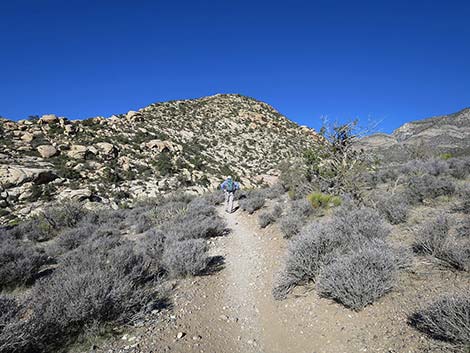 White Rock Loop Trail