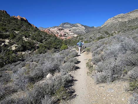 White Rock Loop Trail