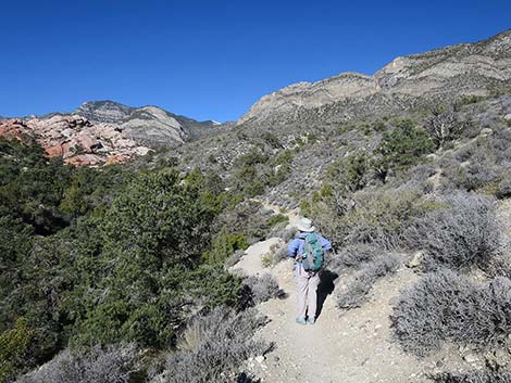 White Rock Loop Trail