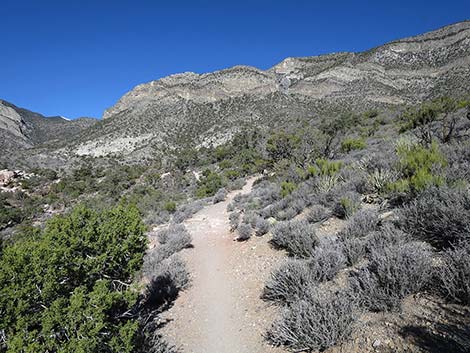 White Rock Loop Trail