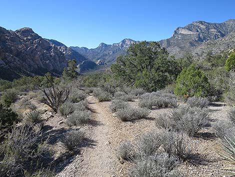 White Rock Loop Trail