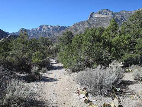 White Rock Loop Trail